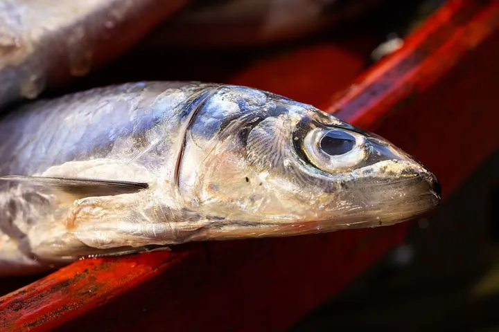В Югре в первую неделю года составили 27 протоколов за незаконный лов рыбы